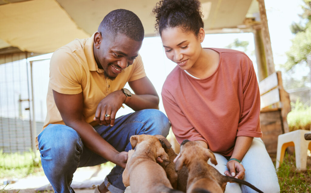 The Art of Socializing Your Dog