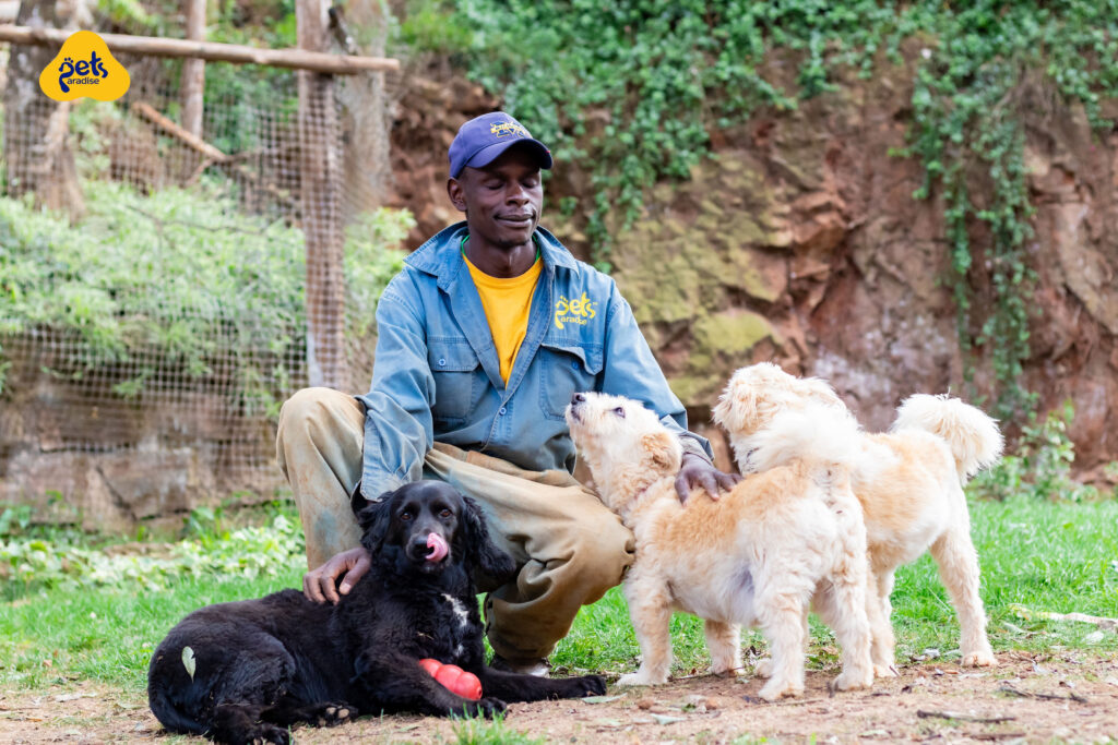 The Art of Socializing Your Dog