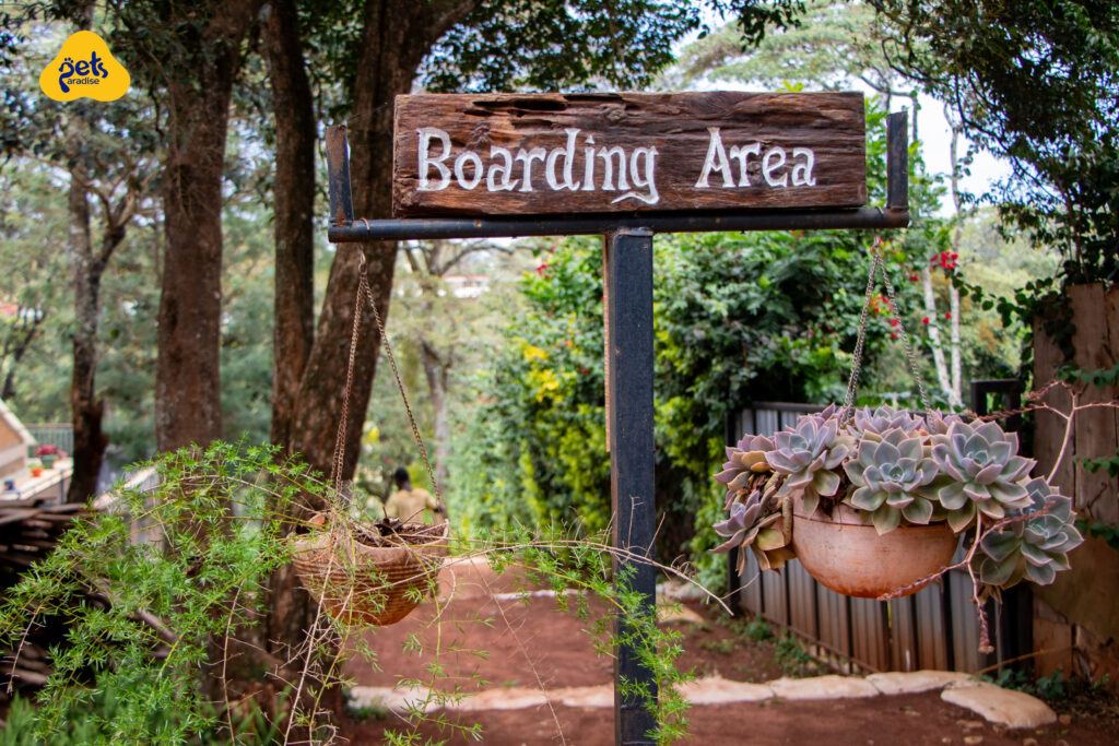 How to Prepare Your Dog for Boarding