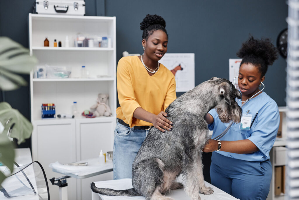 Routine Care for Dogs